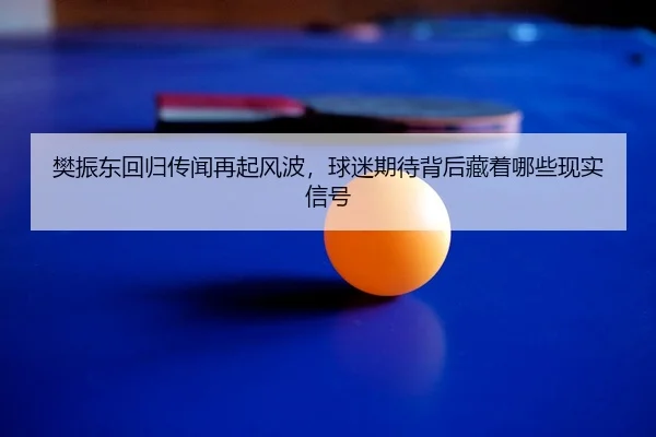 樊振东回归传闻再起风波，球迷期待背后藏着哪些现实信号